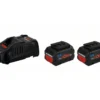 Bosch Akku Starter-Set 2xProCore18V 5,5Ah, GAL 1880 CV